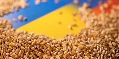 سقف قیمت ارزی واردات کالاهای اساسی و نهاده‌های بخش کشاورزی در مهر ۱۴۰۲ تعیین شد