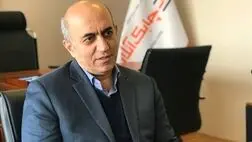 میزان خسارت های تقلبی در صنعت بیمه بیشتر از 20 درصد نیست