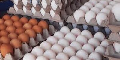 صادرات تخم مرغ به ۲ برابر افزایش می‌یابد
