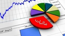 الزام در اصلاح سازوکار‌های مالیاتی/ فشار مالیاتی از روی تولیدکنندگان کاهش یابد

