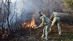 آتش‌سوزی در 8 هکتار از عرصه‌های جنگلی ‌سوادکوه
