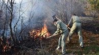 آتش‌سوزی در 8 هکتار از عرصه‌های جنگلی ‌سوادکوه
