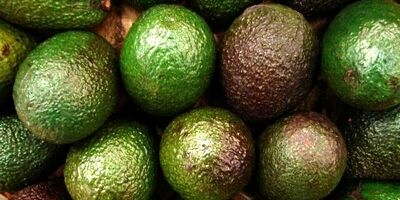 سرنخ‌هایی که نشان‌دهنده بیماری قلبی هستند
