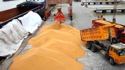 نرخ محاسباتی ارز واردات کالای اساسی و دارو 31 هزار تومان‌

