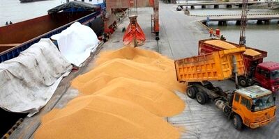 نرخ محاسباتی ارز واردات کالای اساسی و دارو 31 هزار تومان‌
