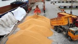 نرخ محاسباتی ارز واردات کالای اساسی و دارو 31 هزار تومان‌
