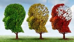 زنان بیشتر از مردان به آلزایمر مبتلا می شوند