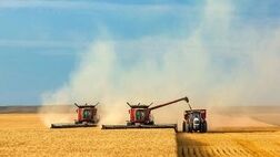 خرید تضمینی بیش از 5.5 میلیون تن گندم با عاملیت بانک کشاورزی
