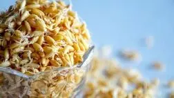 نجات از خستگی با مصرف این جوانه‌ها
