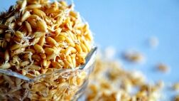 نجات از خستگی با مصرف این جوانه‌ها
