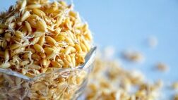 نجات از خستگی با مصرف این جوانه‌ها
