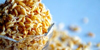 نجات از خستگی با مصرف این جوانه‌ها

