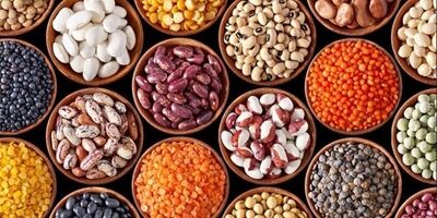 صادرات ۶۰ هزار تن نخود رسمی از ایران به کشورهای همسایه
