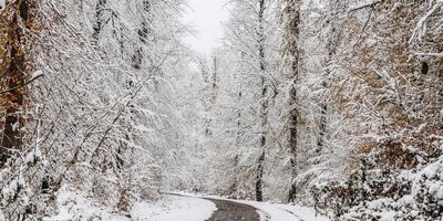 کاهش دما در شمال شرق بین ۱۰ تا ۱۵ درجه خواهد بود