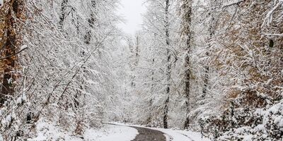کاهش دما در شمال شرق بین ۱۰ تا ۱۵ درجه خواهد بود