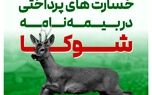 گریزی بر برخی خسارت های پرداختی در طرح شوکا بیمه البرز
