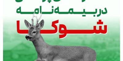 گریزی بر برخی خسارت های پرداختی در طرح شوکا بیمه البرز
