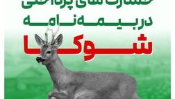 گریزی بر برخی خسارت های پرداختی در طرح شوکا بیمه البرز
