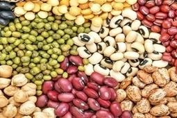 ۷۰ درصد حبوبات تولید داخل است
