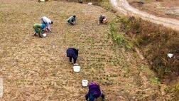 شیروان بیشترین بیمه‌شدگان روستایی زن را در خراسان شمالی دارد