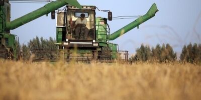 پرداخت مطالبات گندم‌کاران از مرز ۵۰ همت گذشت