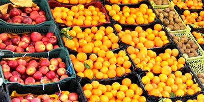 عرضه روزانه میوه ۳ هزارتن افزایش یافت