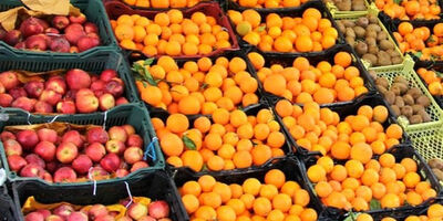 توزیع میوه عید از 20 اسفند آغاز می‌شود 
