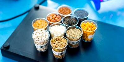حمایت 35 هزار میلیارد ریالی بانک کشاورزی از تولید بذور مقاوم و پربازده
