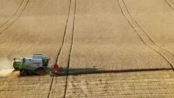 شرایط نگهداری غلات در اوکراین مطلوب نیست