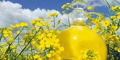 پرداخت مابه‌‌التفاوت نرخ کلزا از محل فروش استحصالات دانه‌های روغنی