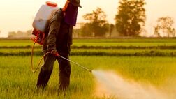 انجمن واردکنندگان سم و کود از خدمات شرکت‌های بیمه‌ای راضی است