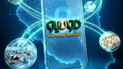 صدور 38 همت «نوی پو» توسط بانک کشاورزی/ همت جهادی برای تداوم امنیت غذایی
