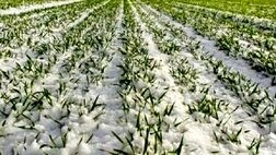 سهم پرداخت غرامت بیمه تخصیص داده نشده است