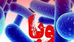 علائم «وبا» و نحوه پیشگیری از این بیماری
