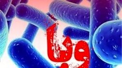 علائم «وبا» و نحوه پیشگیری از این بیماری
