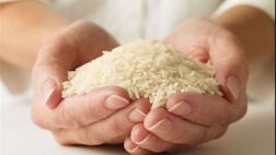  کاهش قیمت برنج ادامه دارد 
