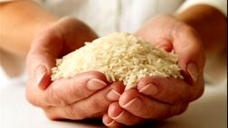  کاهش قیمت برنج ادامه دارد 