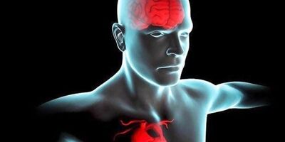 شروع زودهنگام بیماری قلبی عامل اصلی ابتلا به زوال عقل 