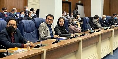 مهم‌ترین عامل توفیق شرکت‌های بیمه شبکه فروش مدرن هستند