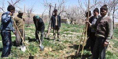 ۱۲۰ هزار خانوار مناطق روستایی آذربایجان‌غربی فاقد بیمه هستند