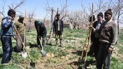 ۱۲۰ هزار خانوار مناطق روستایی آذربایجان‌غربی فاقد بیمه هستند
