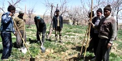 ۱۲۰ هزار خانوار مناطق روستایی آذربایجان‌غربی فاقد بیمه هستند