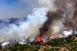 آتش‌سوزی در انبار سورتینگ مرکبات ساری