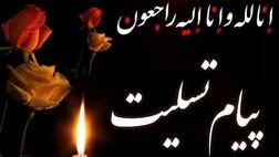 پیام تسلیت دکتر سلیمانی در پی‌ درگذشت مدیرعامل و معاون حقوقی سازمان تامین اجتماعی
