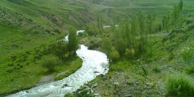 آلودگی رودخانه هراز تکذیب شد