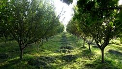 بیمه هنگام بروز حوادث طبیعی امکان جبران بخشی از خسارت‌ها را فراهم می‌کند