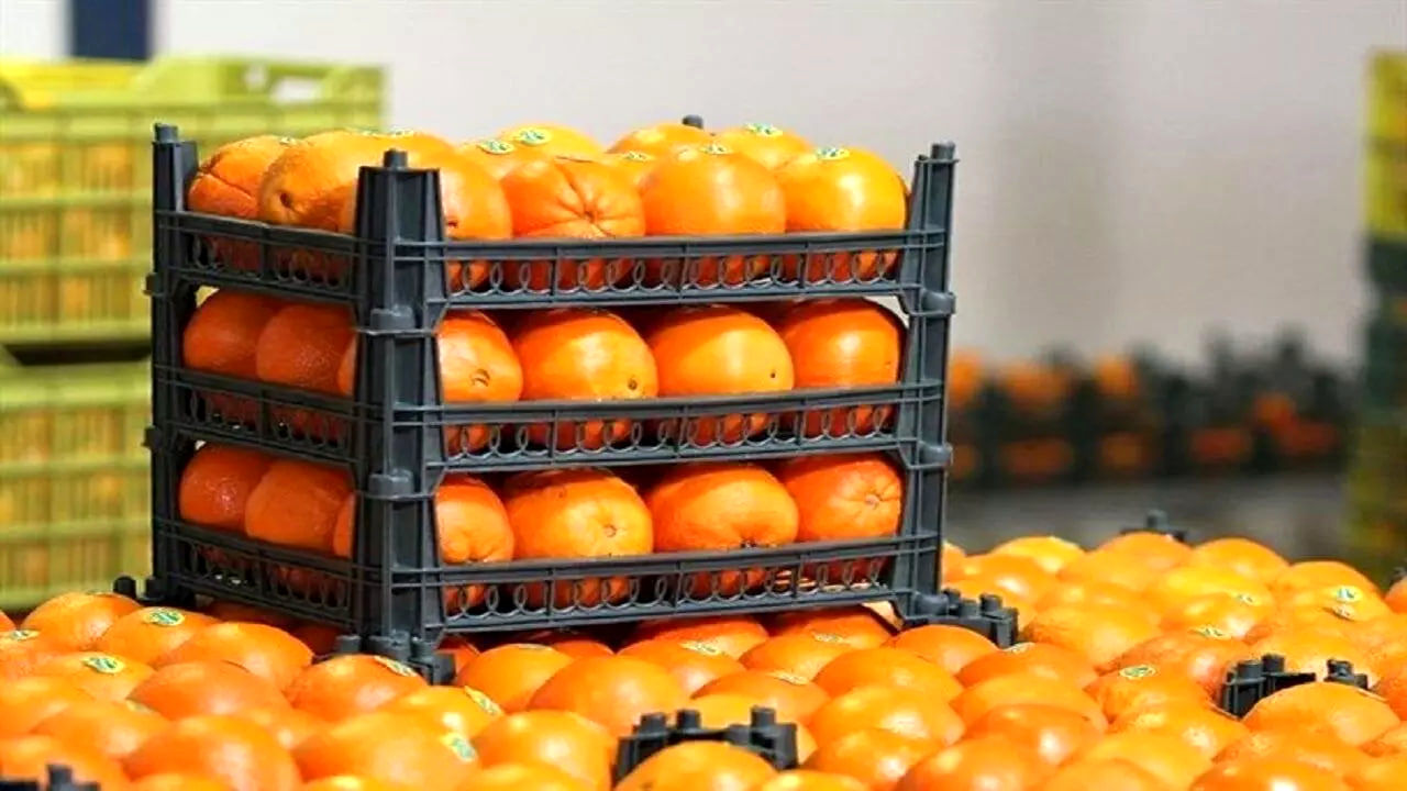 میوه شب عید ۳ برابر سال گذشته تامین شده است