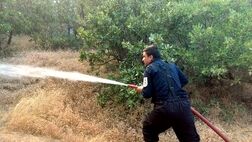 آتش‌سوزی در منطقه کانی میران مریوان همچنان ادامه دارد
