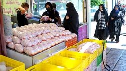  قیمت مرغ در بازار به کمتر از نرخ مصوب رسید 