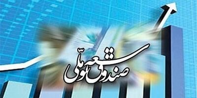 صندوق توسعه ملی از بانک‌ ها  مطالبات ریالی  ندارد